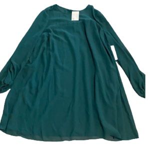 Eva Mendes tunic dress sheer 2X